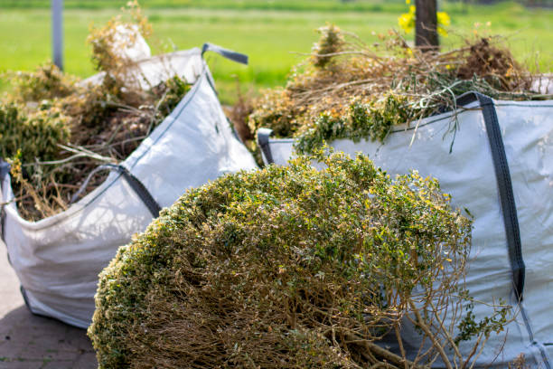 Best Professional Junk Removal  in Montague, CA